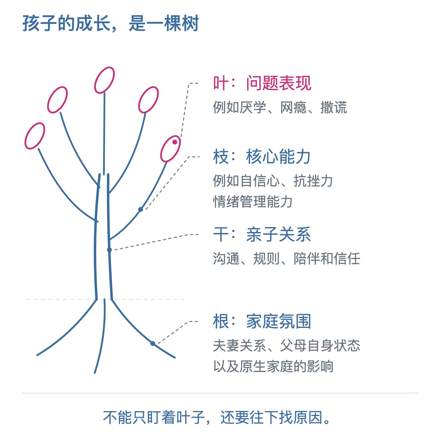 孩子的成长，是一棵树（根干枝叶示意）